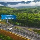 Flotas en transición, la nueva energía