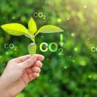 Guía sobre qué empresas están obligadas a calcular su huella de carbono