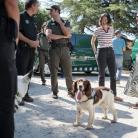 Entrega de vehículos al Cos d'Agents Rurals de Catalunya