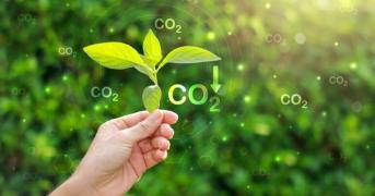 Guía sobre qué empresas están obligadas a calcular su huella de carbono