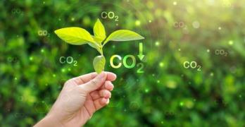Guía sobre qué empresas están obligadas a calcular su huella de carbono